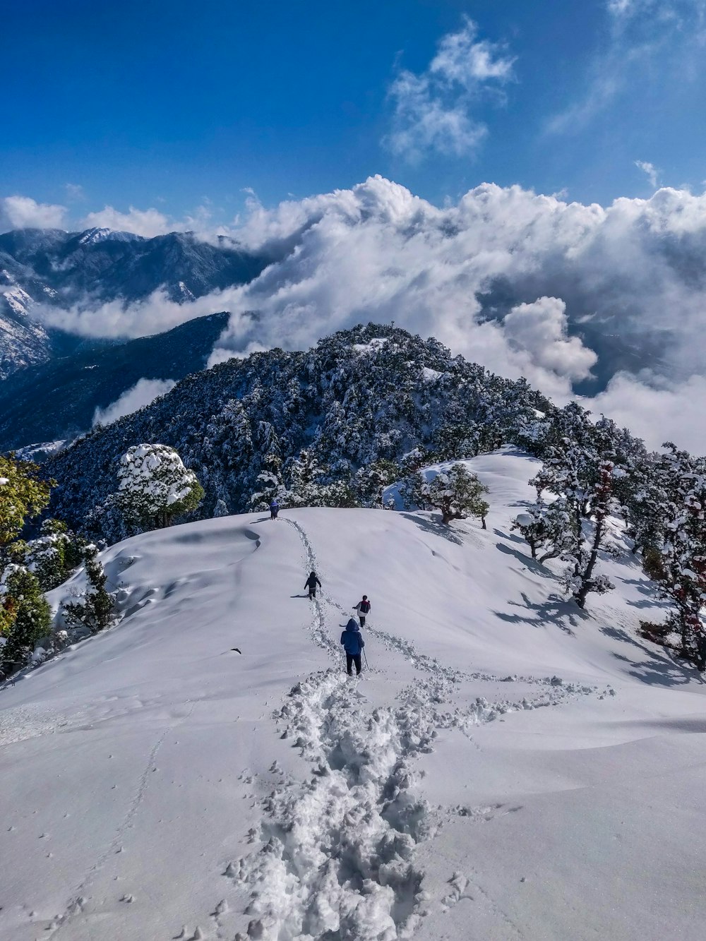Himachal Snow Peaks: Shimla, Manali & Solang